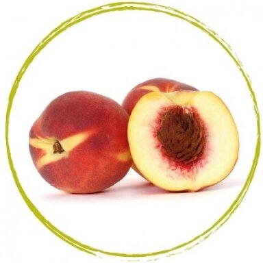 Persikų tyrė 90% (1 kg)