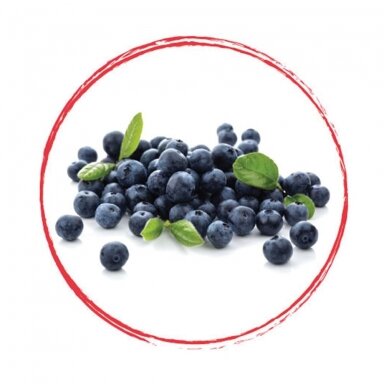 Mėlynių tyrė 90% (1 kg) Mėlynių tyrė 90% (1 kg)