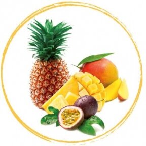 Egzotinių vaisių tyrė 100% (1 kg)