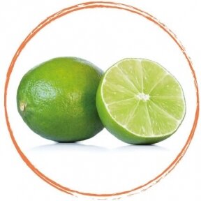 Žaliųjų citrinų (laimo) vaisių tyrė 100% (1 kg)