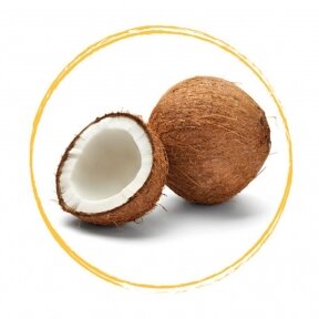 Kokosų tyrė 70% (1 kg)