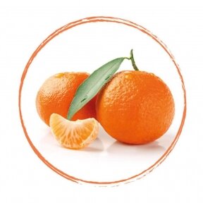 Mandarinų tyrė 100% (1 kg)