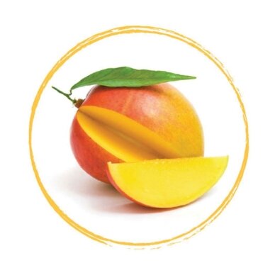 Mango augļu biezenis 90% (1 L.) Mango augļu biezenis 90% (1 L.)