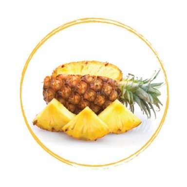 Ananasų tyrė 90% (1 kg) Ananasų tyrė 90% (1 kg)
