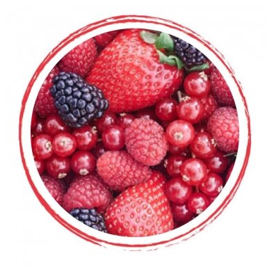Raudonų uogų tyrė 90% (1 kg) Raudonų uogų tyrė 90% (1 kg)