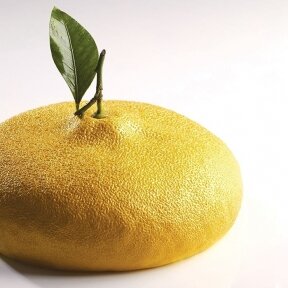 Silikoninė forma "Citron by Cedric Grolet" 1215ml. (KE057)