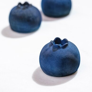 Silikoninė forma "Blueberry" (PX43147) (120ml) 1